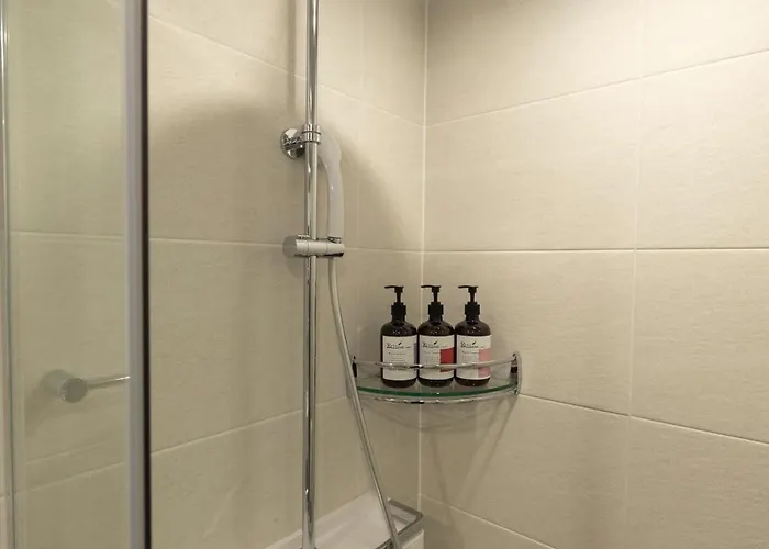 Sl Myeongdong Hotel Seúl
