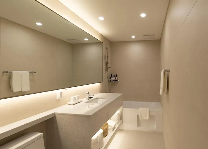 Sl Myeongdong Hotel Seúl
