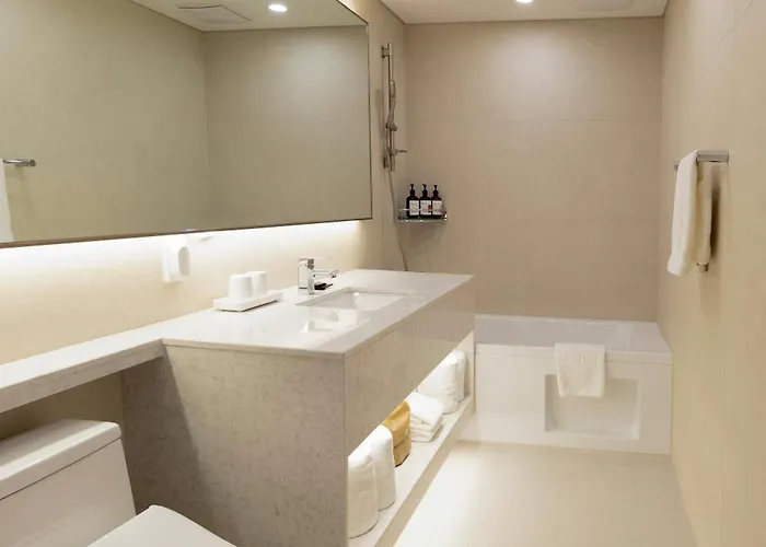 Sl Myeongdong Hotel Seúl