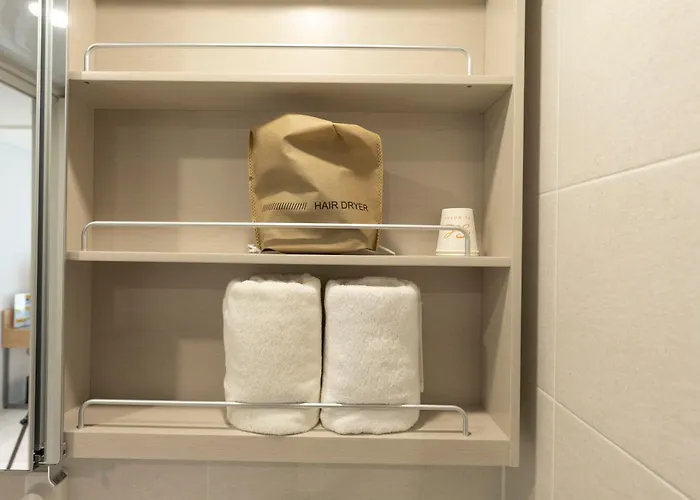 Sl Myeongdong Hotel Seúl